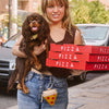 CleverPup Foodie Treat Pouch