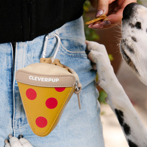 CleverPup Foodie Treat Pouch