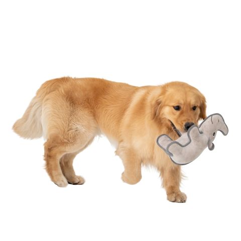Territory Rhino Durable Plush Dog Toy