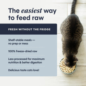 Instinct® FreshDried Raw Meals Cage-Free Chicken Recipe Cat Food