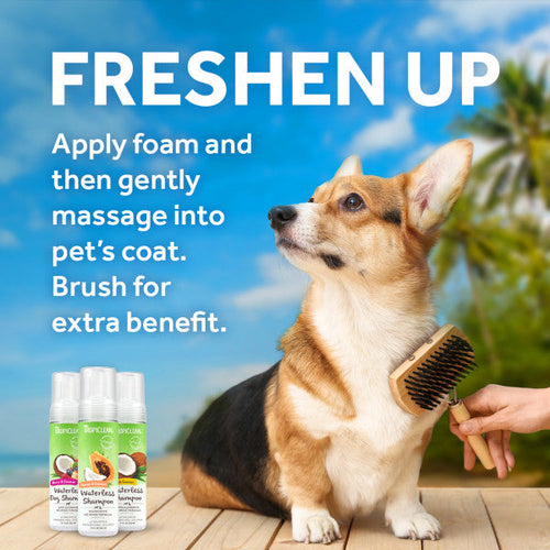 TropiClean Deep Cleansing Waterless Dog Shampoo