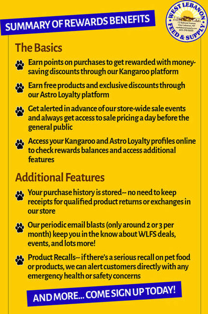 A summary of rewards benefits flyer for West Lebanon Feed & Supply. The flyer has a yellow background with blue and white text. It is divided into two sections: 'The Basics' and 'Additional Features.' The Basics section lists benefits like earning points on purchases, exclusive discounts, early sale alerts, and online access to loyalty profiles. The Additional Features section highlights stored purchase history for easier returns, periodic email updates, and direct customer alerts for product recalls.